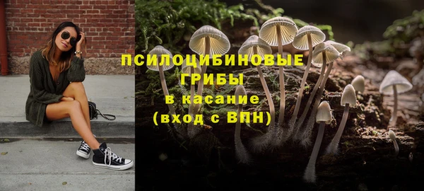 круглые Богородицк
